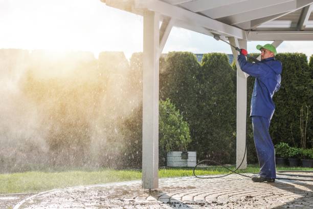 Best Soft Washing  in Grosse Pointe Park, MI