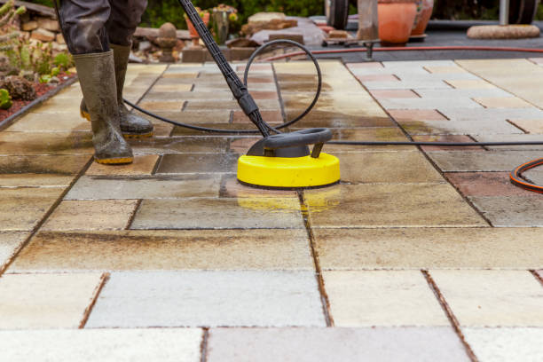 Best Pre-Holiday Cleaning  in Grosse Pointe Park, MI